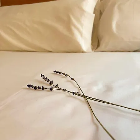 Casa Del Puente Murallahomes Appartamento *