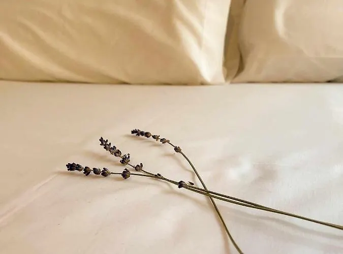 Casa Del Puente - Murallahomes 아파트 *